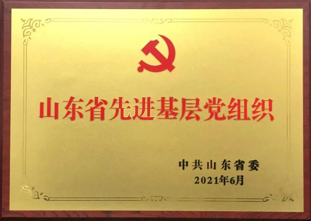 喜報(bào)|浩信集團(tuán)黨支部榮獲“山東省先進(jìn)基層黨組織”榮譽(yù)稱(chēng)號(hào)
